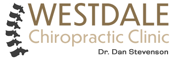 Dr Dan Stevenson Hamilton Chiropractor Chiropractic Logo